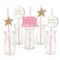 Big Dot of Happiness Pink Twinkle Twinkle Little Star Paper Straw Decor - Baby Shower or Birthday Party Striped Decorative Straws - Set of 24